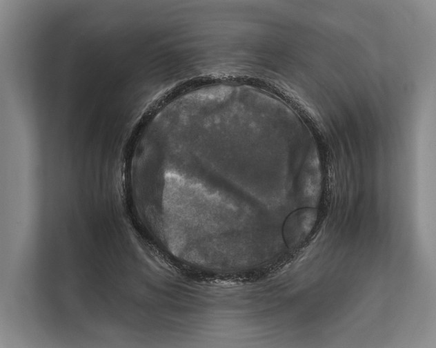 X0000111840592200908201218