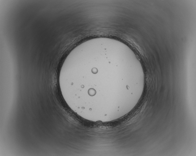 X0000111840593200908201218