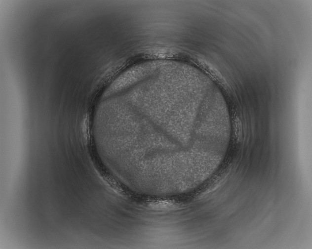 X0000111840594200908201218