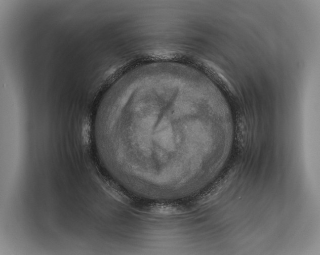 X0000111840596200908201218