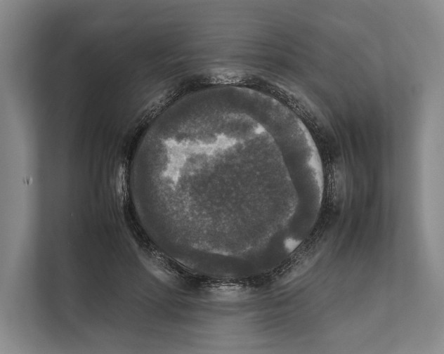 X0000111840598200908201218