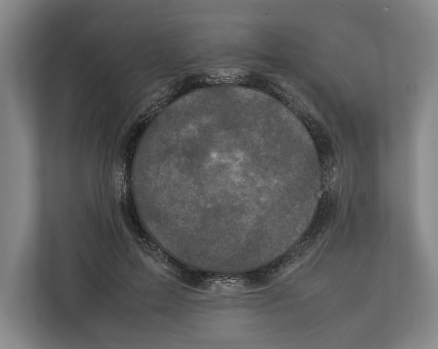 X0000111840599200908201218