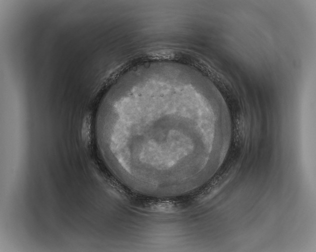 X0000111840600200908201218