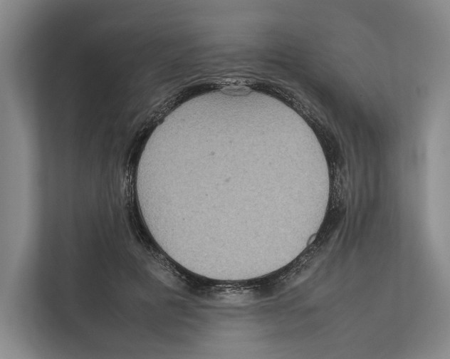 X0000111840601200908201218