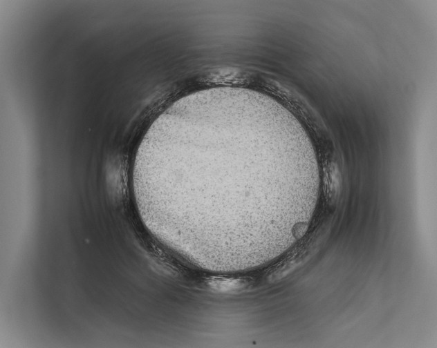 X0000111840602200908201218