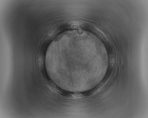 X0000111840603200908201218