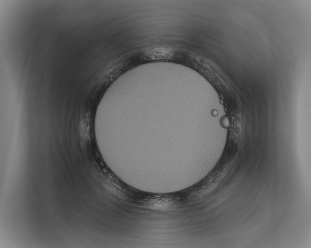 X0000111840604200908201218