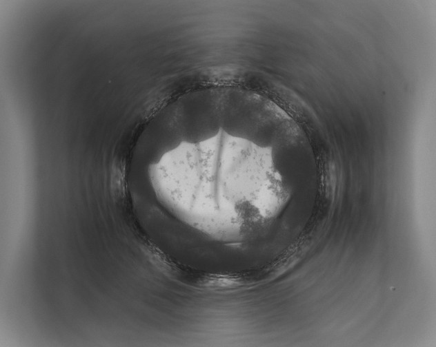 X0000111840610200908201218