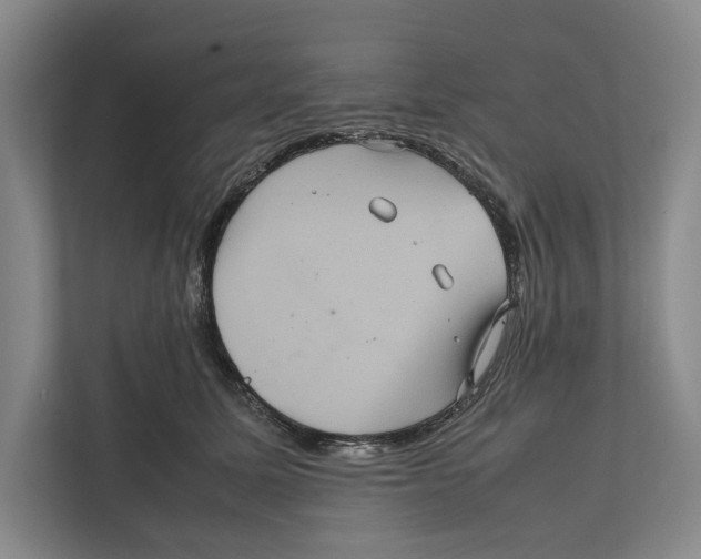 X0000111840611200908201218