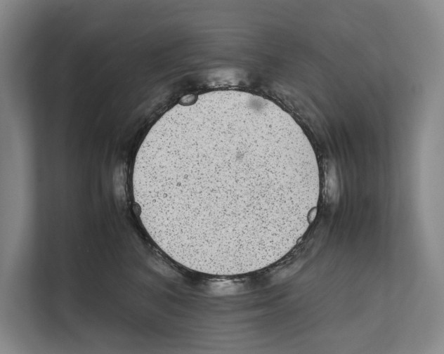 X0000111840616200908201218