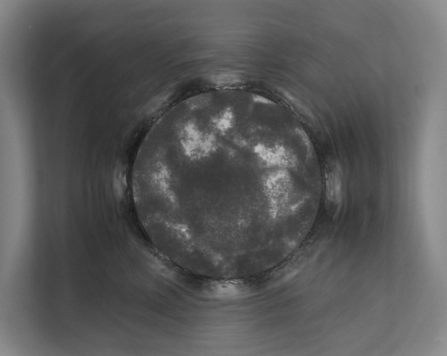 X0000111840618200908201218