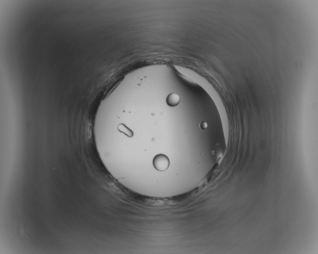 X0000111840621200908201218