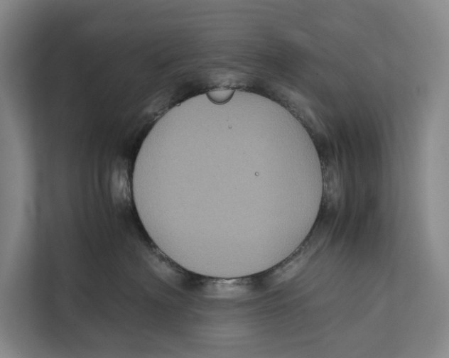 X0000111840622200908201218