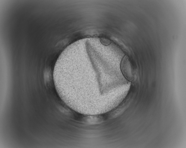 X0000111840623200908201218