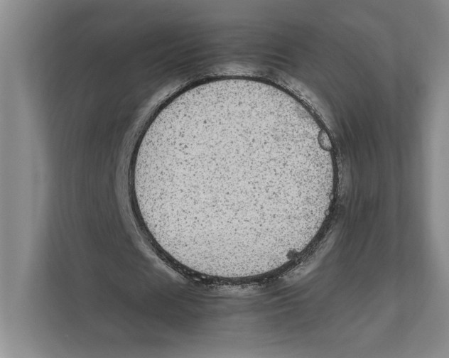 X0000111840625200908201217