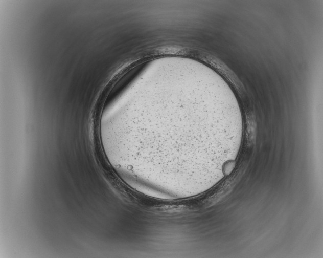 X0000111840626200908201217