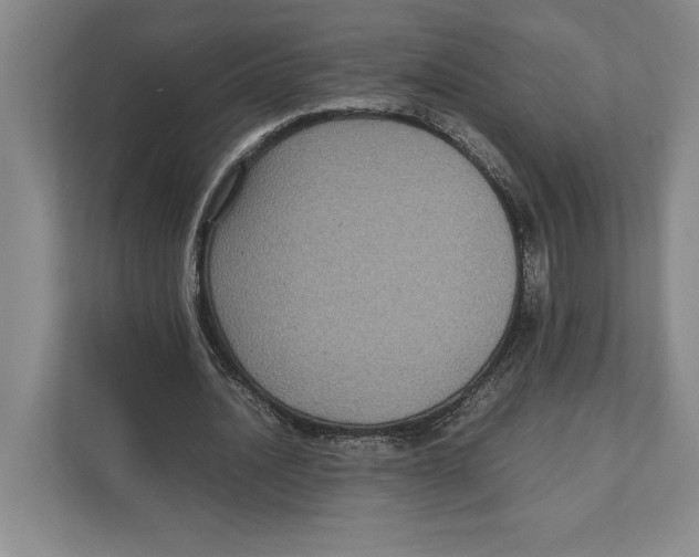 X0000111840628200908201217