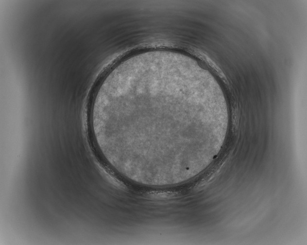 X0000111840629200908201217