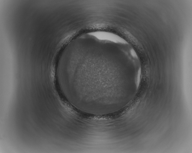 X0000111840640200908201217