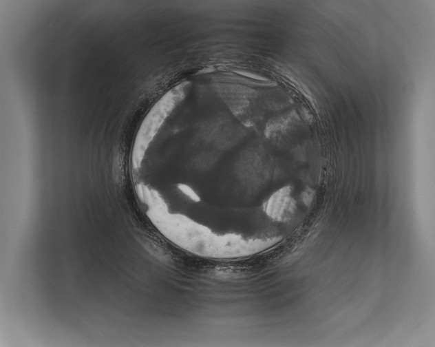 X0000111840641200908201217