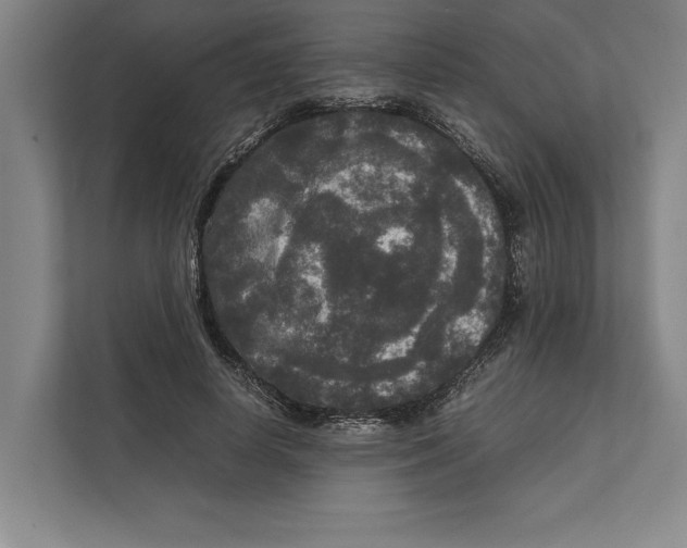 X0000111840642200908201217