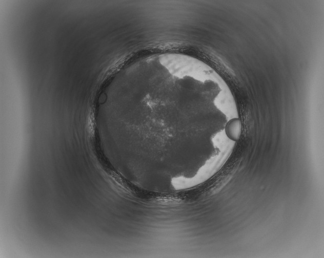 X0000111840644200908201217