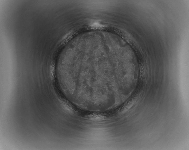 X0000111840648200908201217