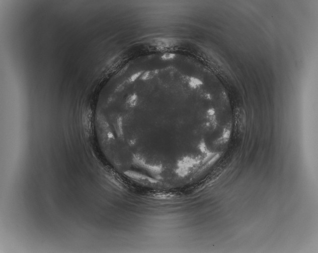 X0000111840650200908201218