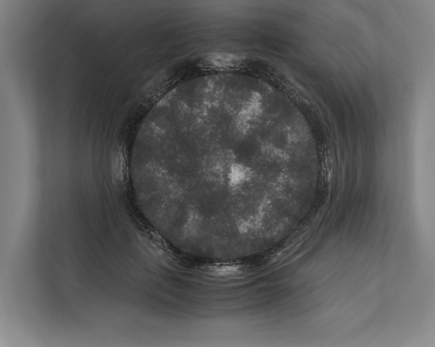 X0000111840651200908201218