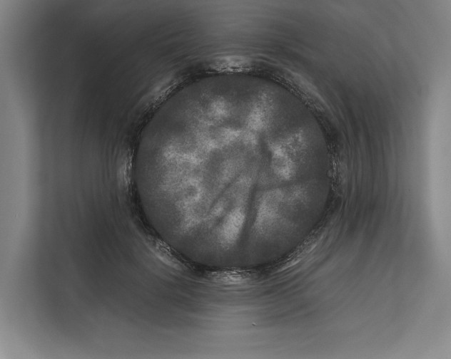 X0000111840652200908201218