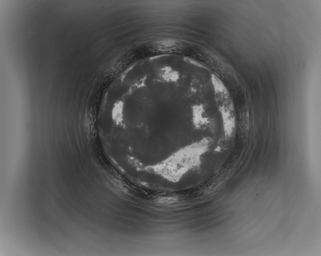 X0000111840653200908201218