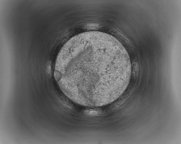 X0000111840655200908201218