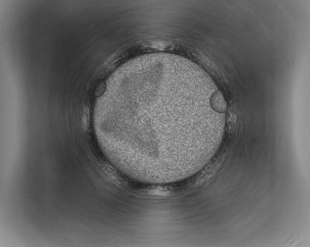 X0000111840656200908201218