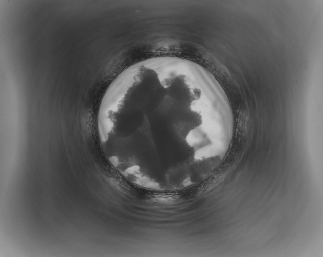 X0000111840659200908201218