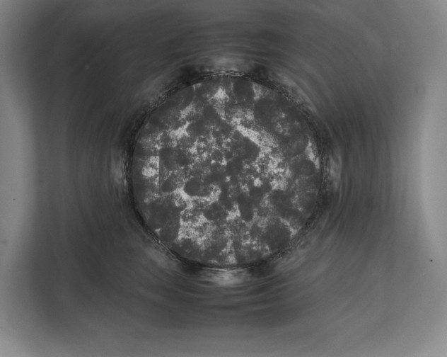 X0000111840663200908201218