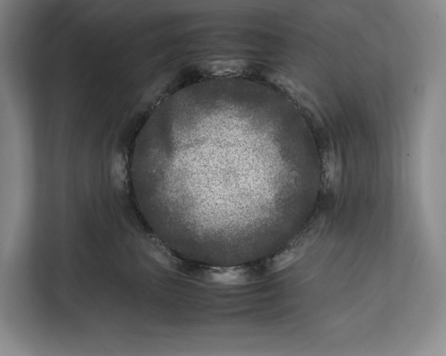 X0000111840667200908201218