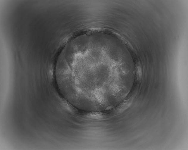 X0000111840668200908201218