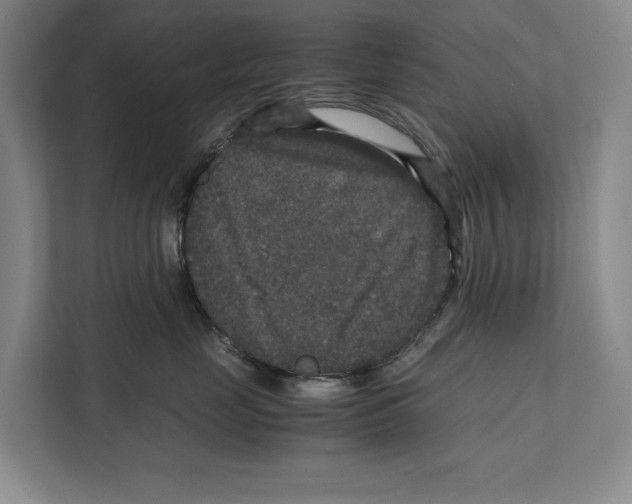 X0000111840669200908201218