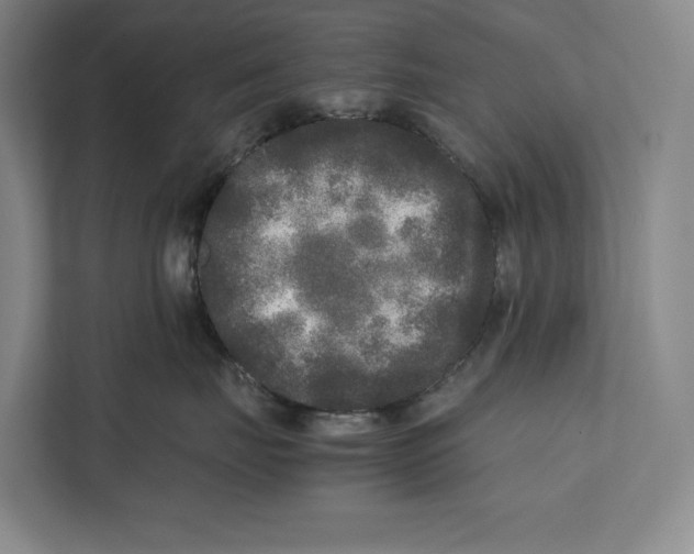 X0000111840671200908201218