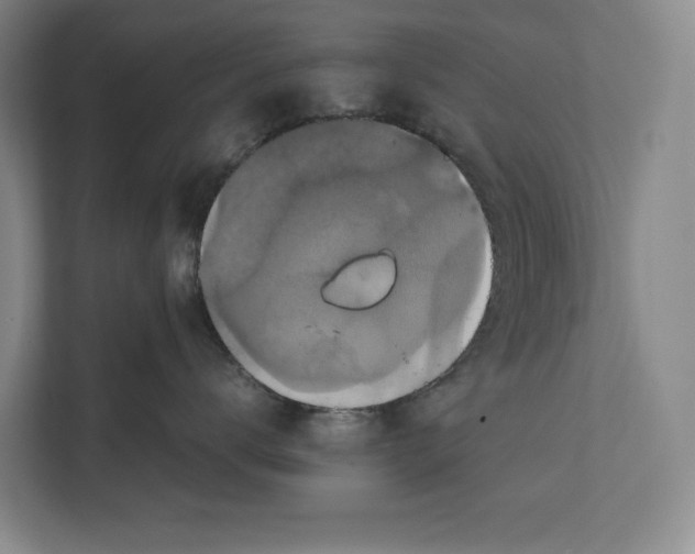 X0000111840672200908201218