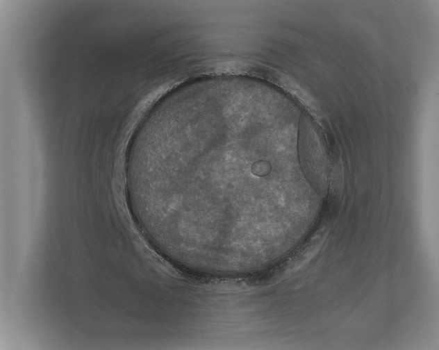 X0000111840673200908201217