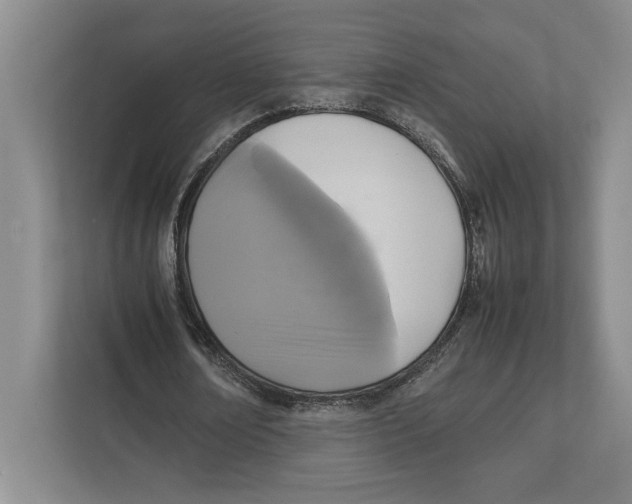 X0000111840674200908201217