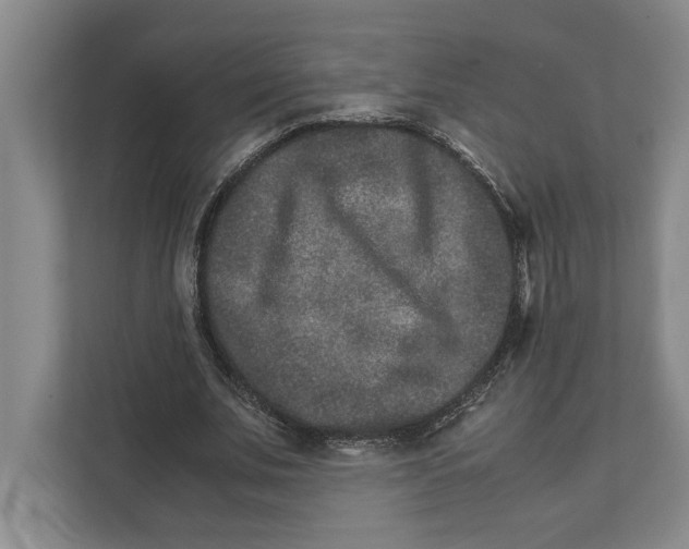 X0000111840679200908201217