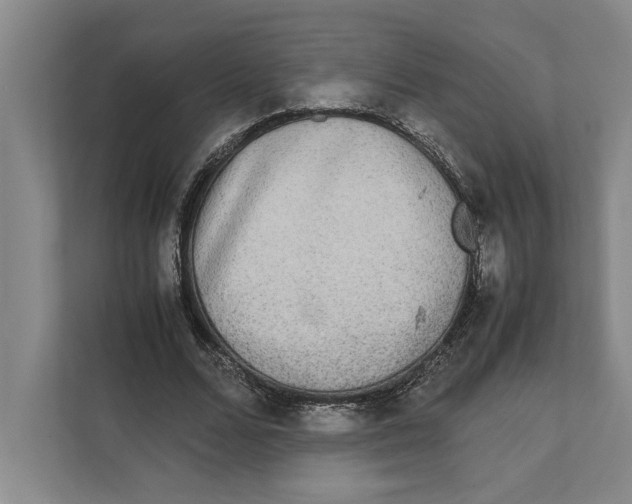 X0000111840680200908201217