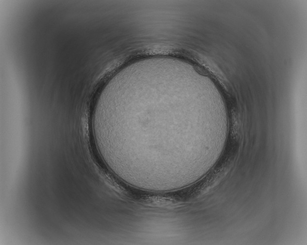 X0000111840681200908201217