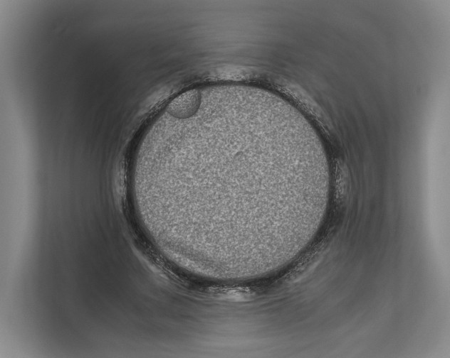 X0000111840683200908201217