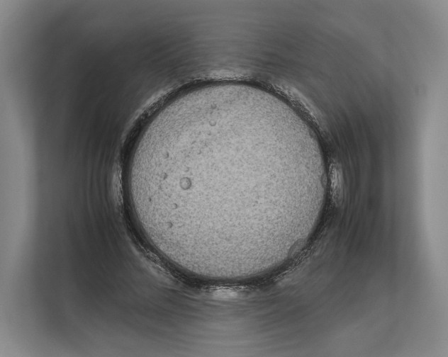 X0000111840684200908201217