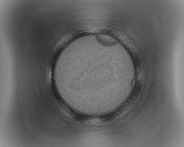 X0000111840685200908201217