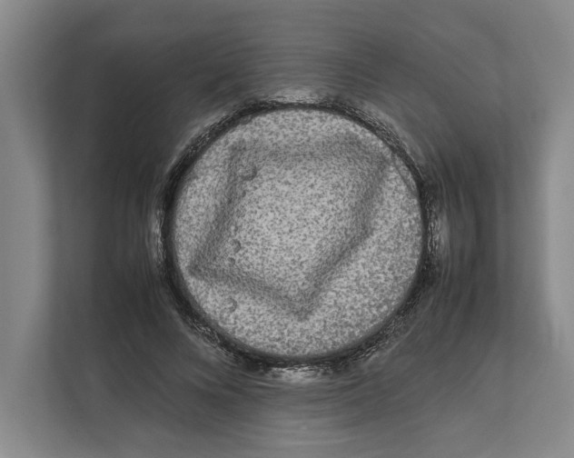 X0000111840688200908201217