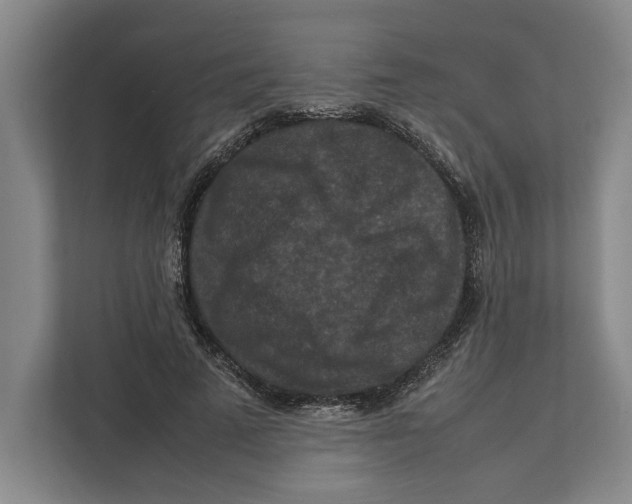 X0000111840689200908201217